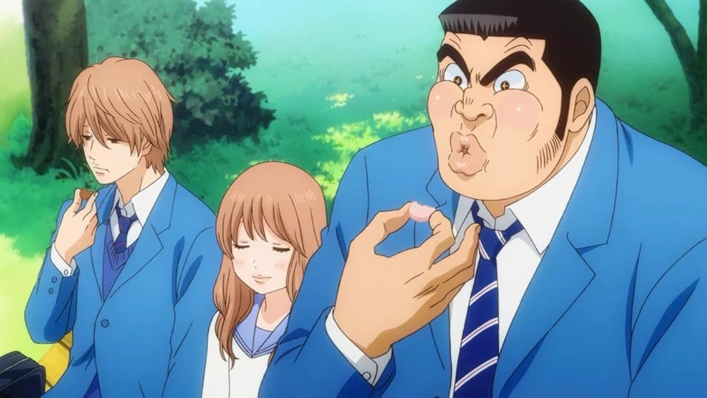 Моя история! (Ore Monogatari!!)